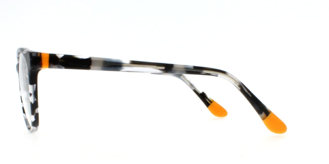 Dellaspina - Valencia